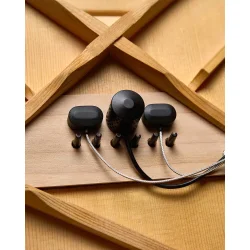L.R. Baggs HiFi Duet